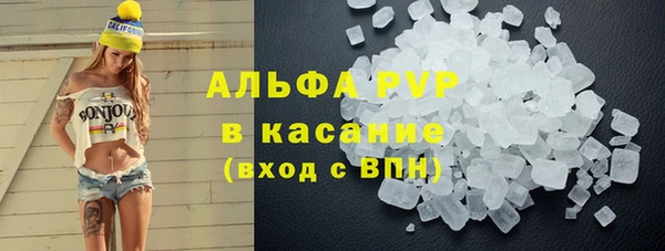 прущие грибы Балабаново