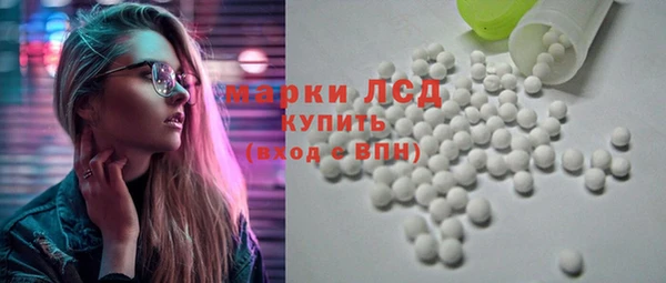 прущие грибы Балабаново