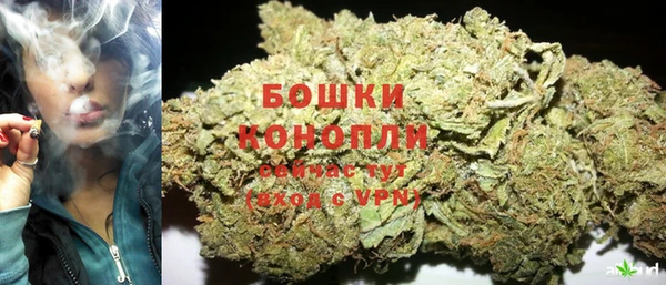 прущие грибы Балабаново