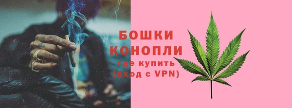 прущие грибы Балабаново