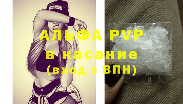 прущие грибы Балабаново