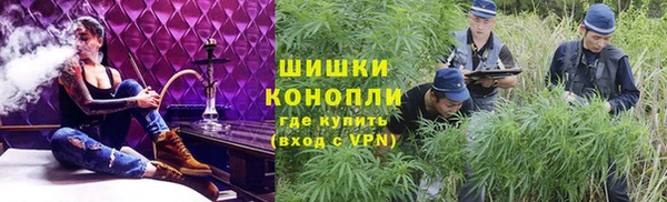 прущие грибы Балабаново