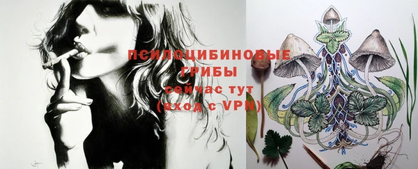 эйфоретик Балахна