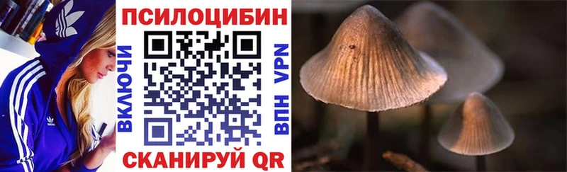 Галлюциногенные грибы GOLDEN TEACHER  Шелехов 